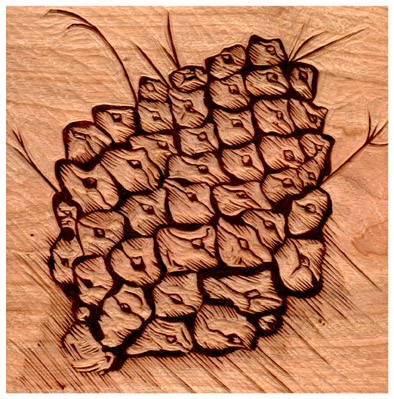 Italian stone pine cone wood block
