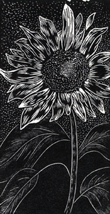 Sunflower/Moonflower